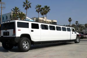 Limousine Insurance in Fordyce, Dallas County, AR